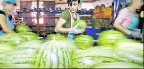 Ya hay 16 muertos por pepinos contaminados: alarma en Europa