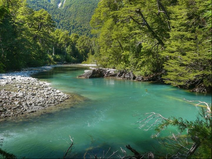 Parque Nacional Los Alerces (Turismo Chubut).