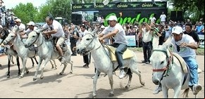 Rally Mundial de burros: Entre el realismo mágico y la pasión por las carreras