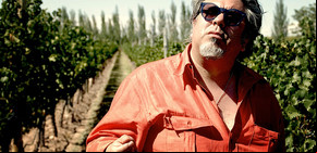 Una road movie entre viñedos, degustaciones y la honestidad 