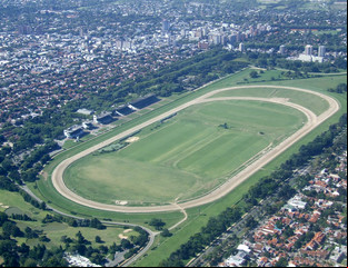Frenan la venta de terrenos dentro del Hipódromo de San Isidro