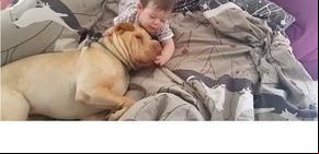 Bebés y cachorros: los videos más tiernos del 2014