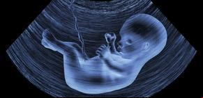"Bebés con tres padres": para qué sirve la técnica aprobada en Reino Unido 