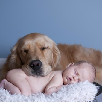 Perros niñeros: las 10 mejores razas para convivir con los chicos