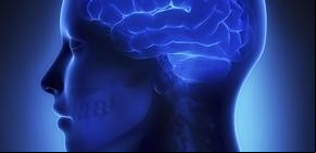 Neurociencias: buscan voluntarios para un estudio online de 30 minutos