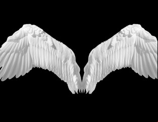 ¿Cuál es tu ángel guardián si naciste en febrero?
