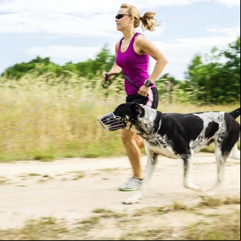 Las mejores razas para salir a correr