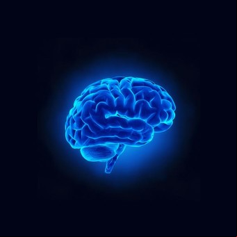 ¿Se puede medir la inteligencia?