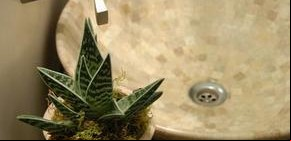 Las plantas como objeto de diseño