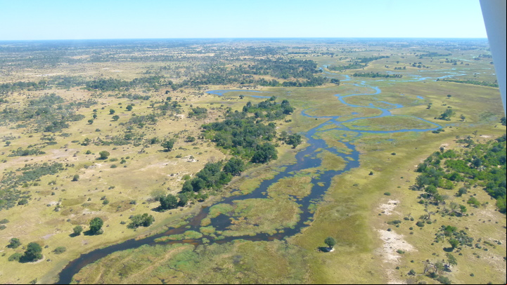 CLAIMA20150728_0208 Vista aérea de un sector del delta del Okavango.