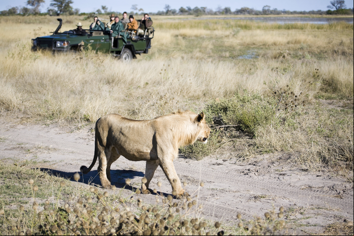CLAIMA20151109_0123 Bostwana safari (Getty Images)