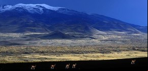 Paisajes de Argentina para descubrir
