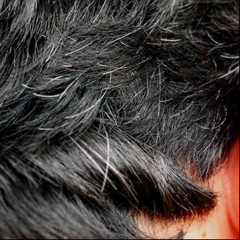 Cómo oscurecer las canas en forma natural con tres alimentos de todos los días