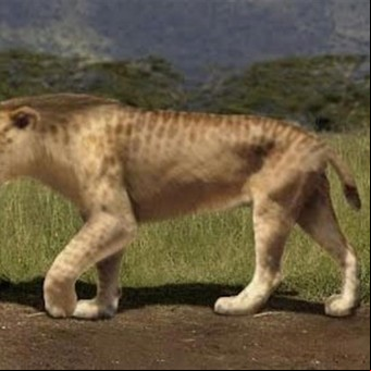 Hacía un pozo ciego en el fondo de su casa y encontró los restos de un tigre dientes de sable