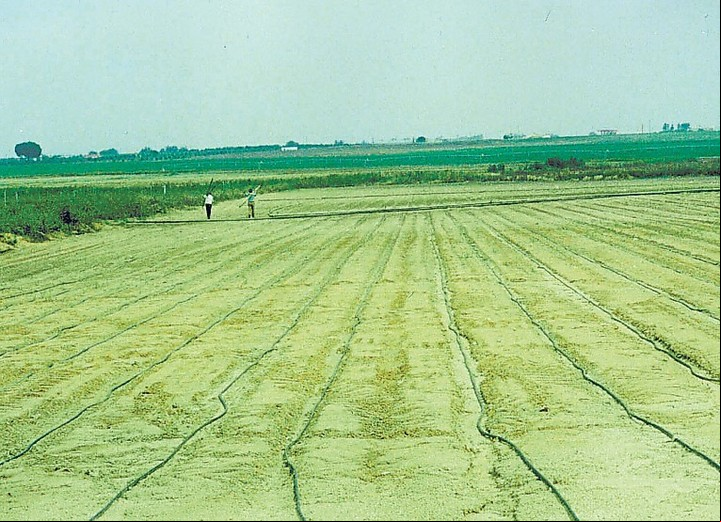 Los campos de la Meseta Central.