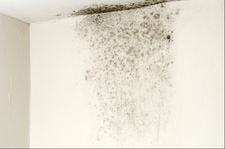 Aparte del aspecto estético de la casa, la humedad en los ambientes interiores puede afectar la salud respiratoria, sobre todo en casos de asma.