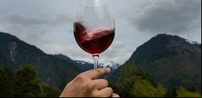 Los 10 mejores Malbec argentinos según la revista Decanter