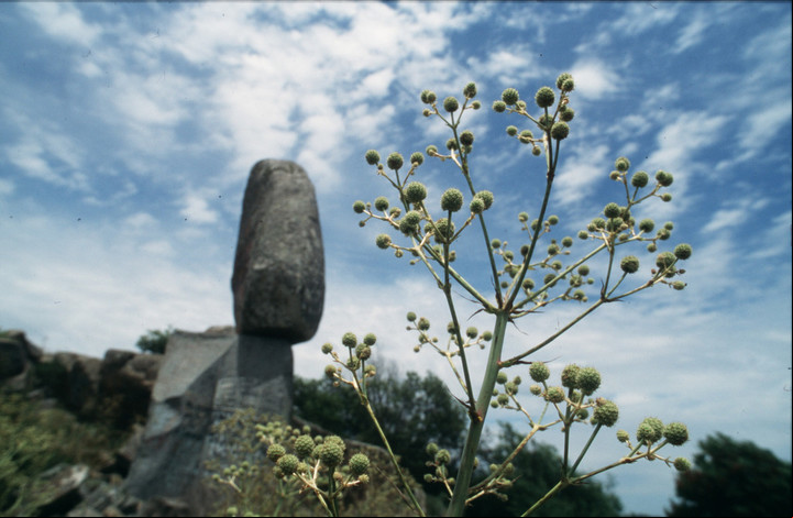 Cerro Centinela, emblema de Tandil.