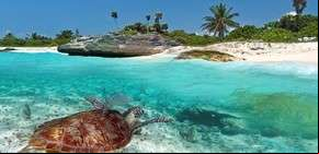 Récord para México: en 2016 recibió 35 millones de turistas
