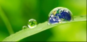 Día Mundial del Agua, ¿en verdad estamos conscientes de su importancia?