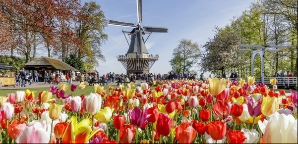 El jardín más lindo del mundo está en Holanda (y sólo dura 8 semanas)