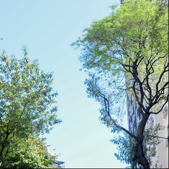 GPS Recoleta: la posibilidad de una isla