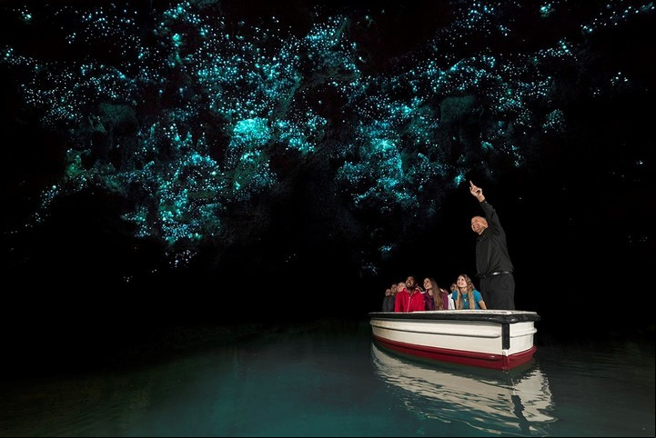 El particular paisaje de las cavernas combina el paseo en bote. La luz que ilumina es producida por unos gusanos autóctonos, brillantes como luciérnagas. / Gentileza Turismo Nueva Zelanda