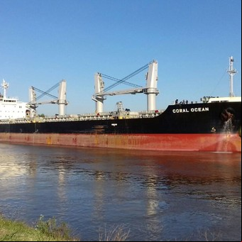 Entre Ríos exportará trigo, soja y arroz a través de los puertos de Diamante y Concepción del Uruguay