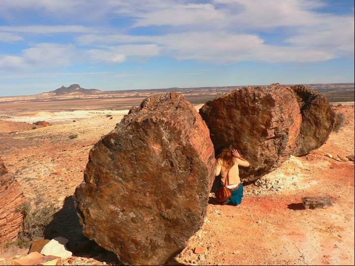 Troncos petrificados, una maravilla de la historia. Foto PB / Viajes