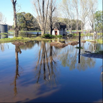 Argentina, en busca de fijar una agenda contra el calentamiento global