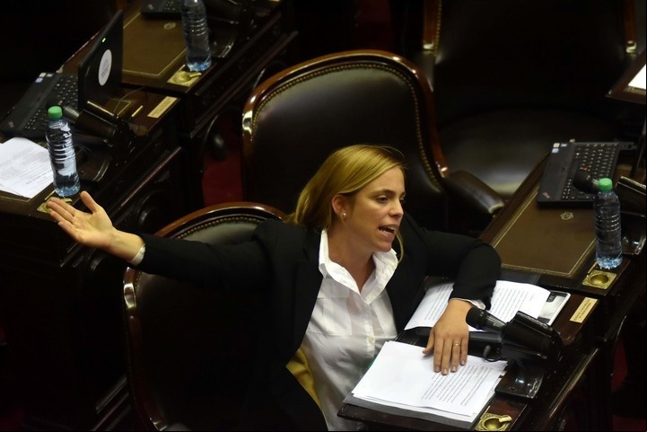 La rionegrina Emilia Soria fue una de los 6 diputados del FpV que bajaron al recinto y votaron por el desafuero. (Lucía Merle)