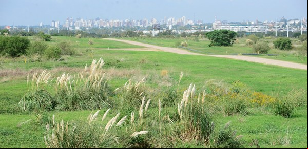 Habrá un bosque y un laberinto de basura reciclada en el ex relleno sanitario de Villa Domínico