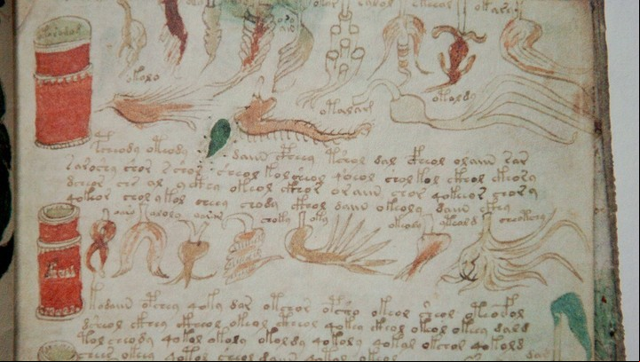 El enigma del manuscrito Voynich