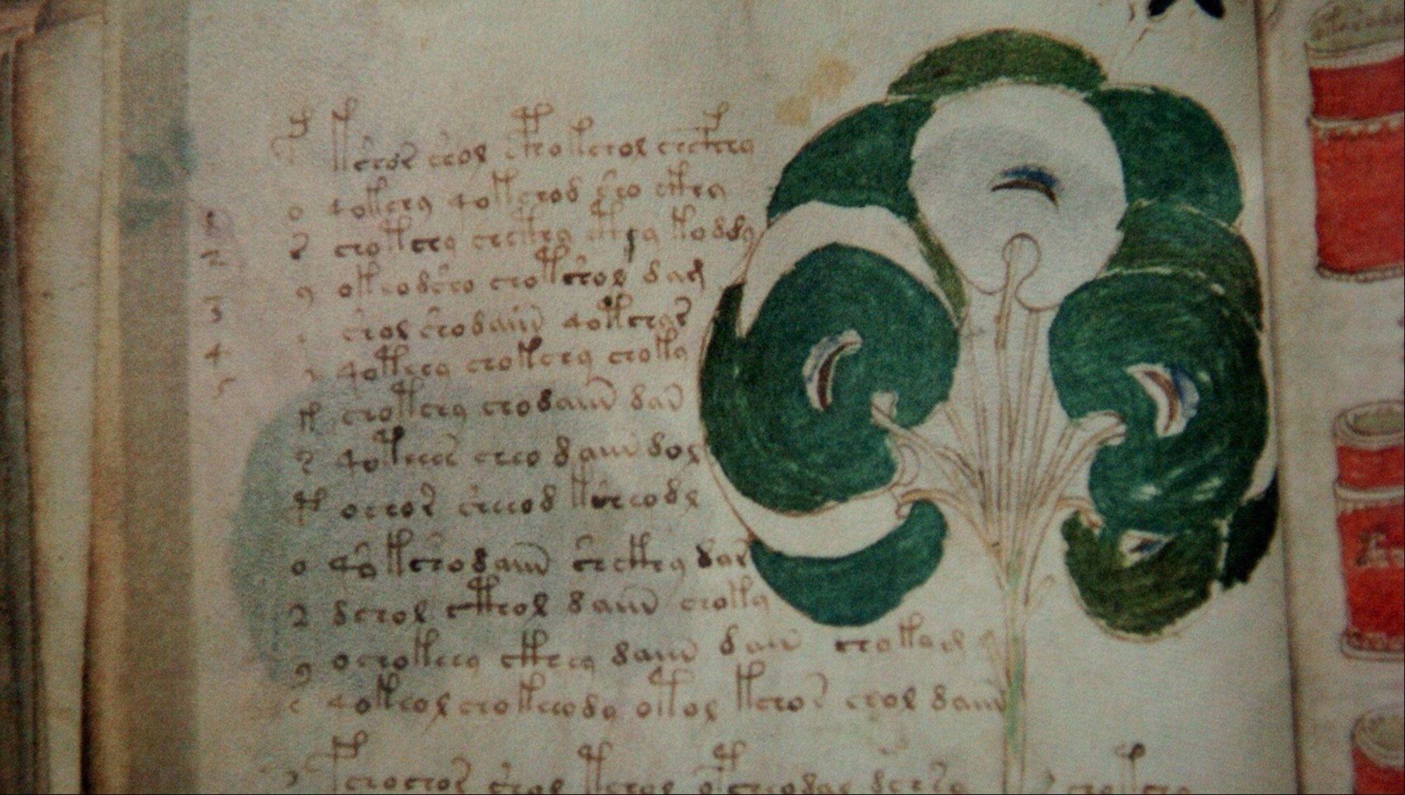 Reproduccion de Manuscritos Voynich. (Mario Quinteros) Afirman que decodificaron el libro mas misterioso de la historia Manuscrito Voynich