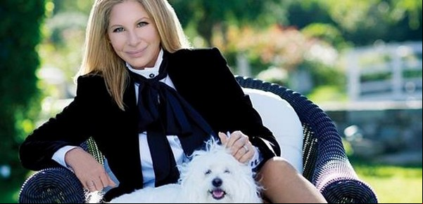 Coronavirus: Barbra Streisand acusó de mentiroso e incompetente a Donald Trump