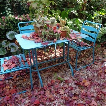 Claves para mantener el jardín en otoño