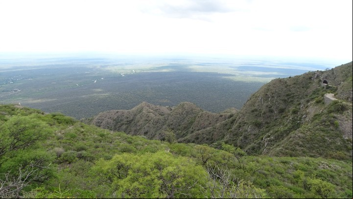 El parque resguarda una de las últimas poblaciones de guanaco de la provincia de Córdoba,