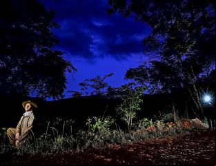 Las Yungas jujeñas: una epifanía natural y cultural