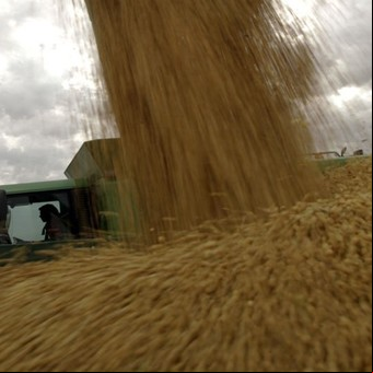 Discrepancia en el seno de la agroindustria sobre el cambio en las retenciones