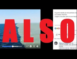 Fake news: que la verdad no se pierda