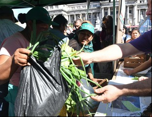 La agricultura familiar, en problemas
