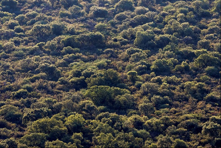 El Parque Nacional Traslasierra, en Córdoba. Foto Pablo Rodríguez Merkel