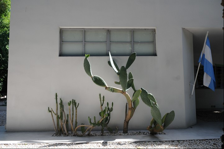 Detalles. Los cactus, en la casa racionalista de Victoria Ocampo, de Rufino de Elizalde 2850./ Diego Waldmann.