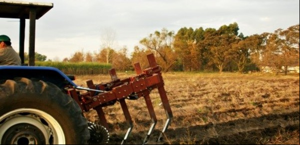 Experiencia en Cuyo: aciertos, desafíos y el gran potencial de la agricultura regenerativa