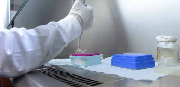 Streptococcus pyogenes: ya hay una muerte por día y se acelera la suba de casos