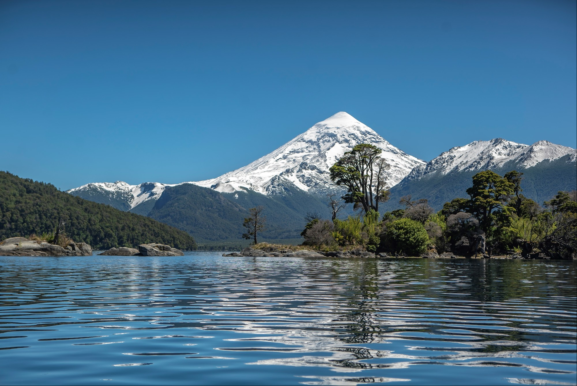 Parque Nacional Lanín.