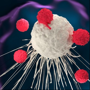 Apuran un plan inédito en el país para tratar el cáncer en la sangre con una fórmula esperanzadora