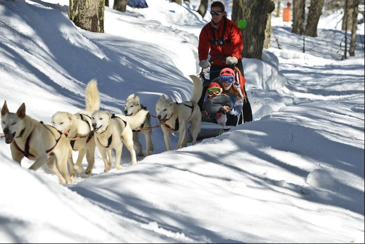 Paseo en trineos tirados por perros en Chapelco.