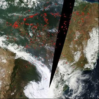 Fuego sin control en el Amazonas, las imágenes de los incendios forestales que azotan Brasil y cubren de humo la región