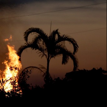 Los incendios en la Amazonia impactarán en las lluvias: cuál es el riesgo para el agro argentino